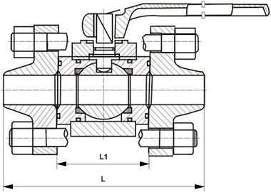 高壓焊接球閥結(jié)構(gòu)示意圖